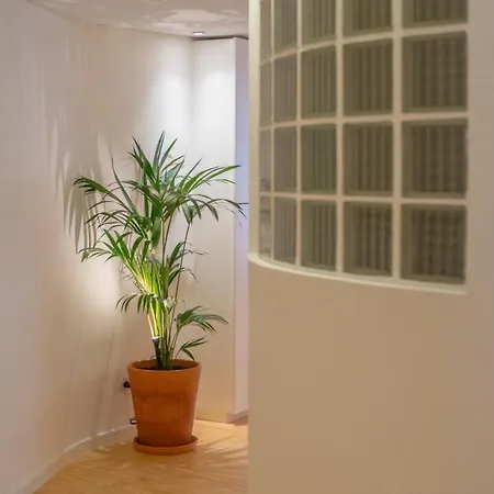 The Alluring - And Spacious 2 Bedroom Apartment Porto