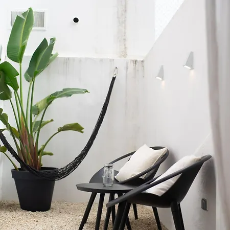 アパート The Alluring - And Spacious 2 Bedroom